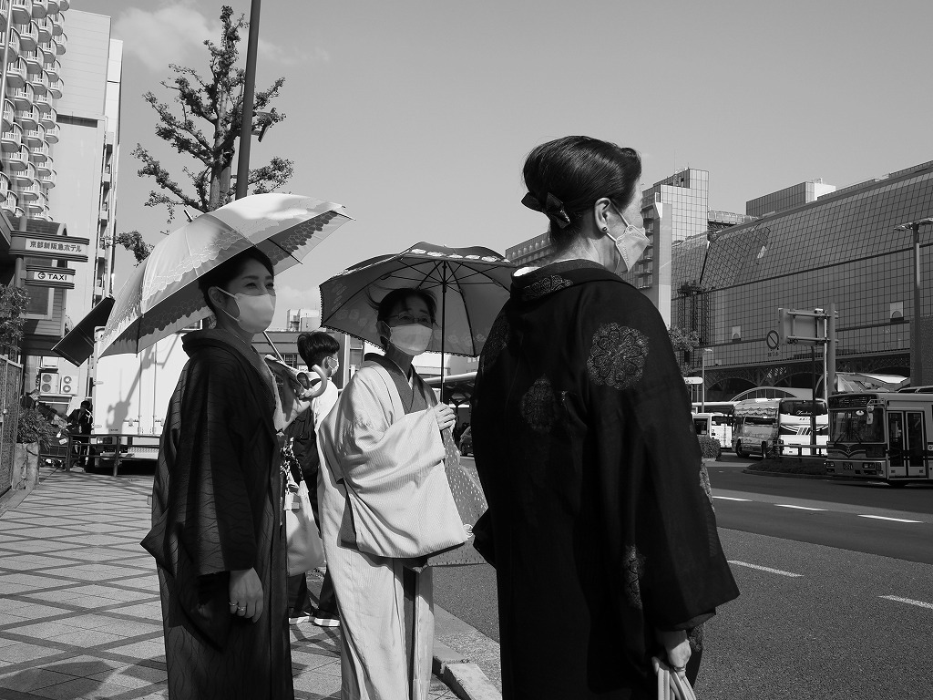 ご婦人たち_e0374932_07121589.jpg