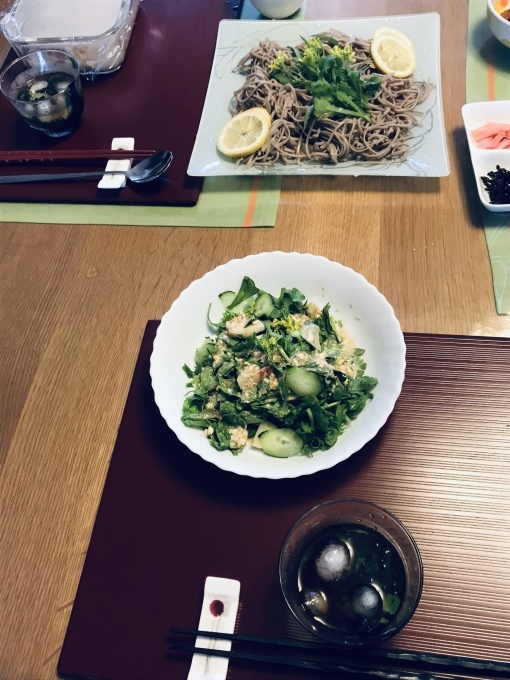 クリスマスローズの手入れ_b0100062_11312241.jpeg