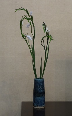 庄司宣夫さんの花瓶　色々_e0155377_13000730.jpg