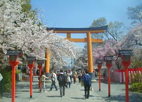 ●神社の造形―平野神社の桜、その3_d0053294_02152237.jpg