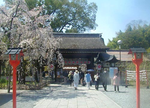 ●神社の造形―平野神社の桜、その3_d0053294_02153552.jpg
