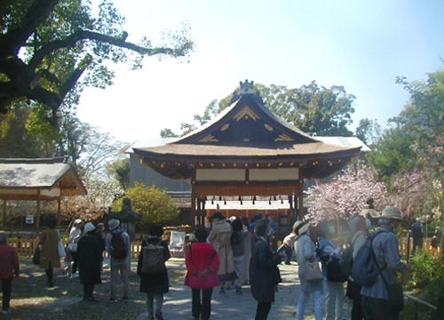 ●神社の造形―平野神社の桜、その3_d0053294_02160613.jpg