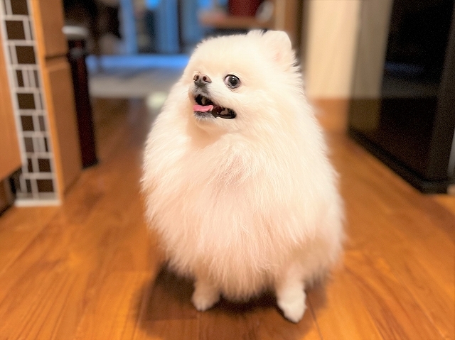 いつも言い聞かせている_d0360206_19195900.jpg