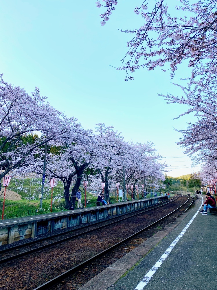 4月27日のトレード_a0324035_19413353.jpeg