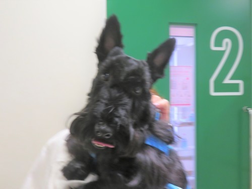 4 月 27 日の写真_c0174644_12443616.jpg