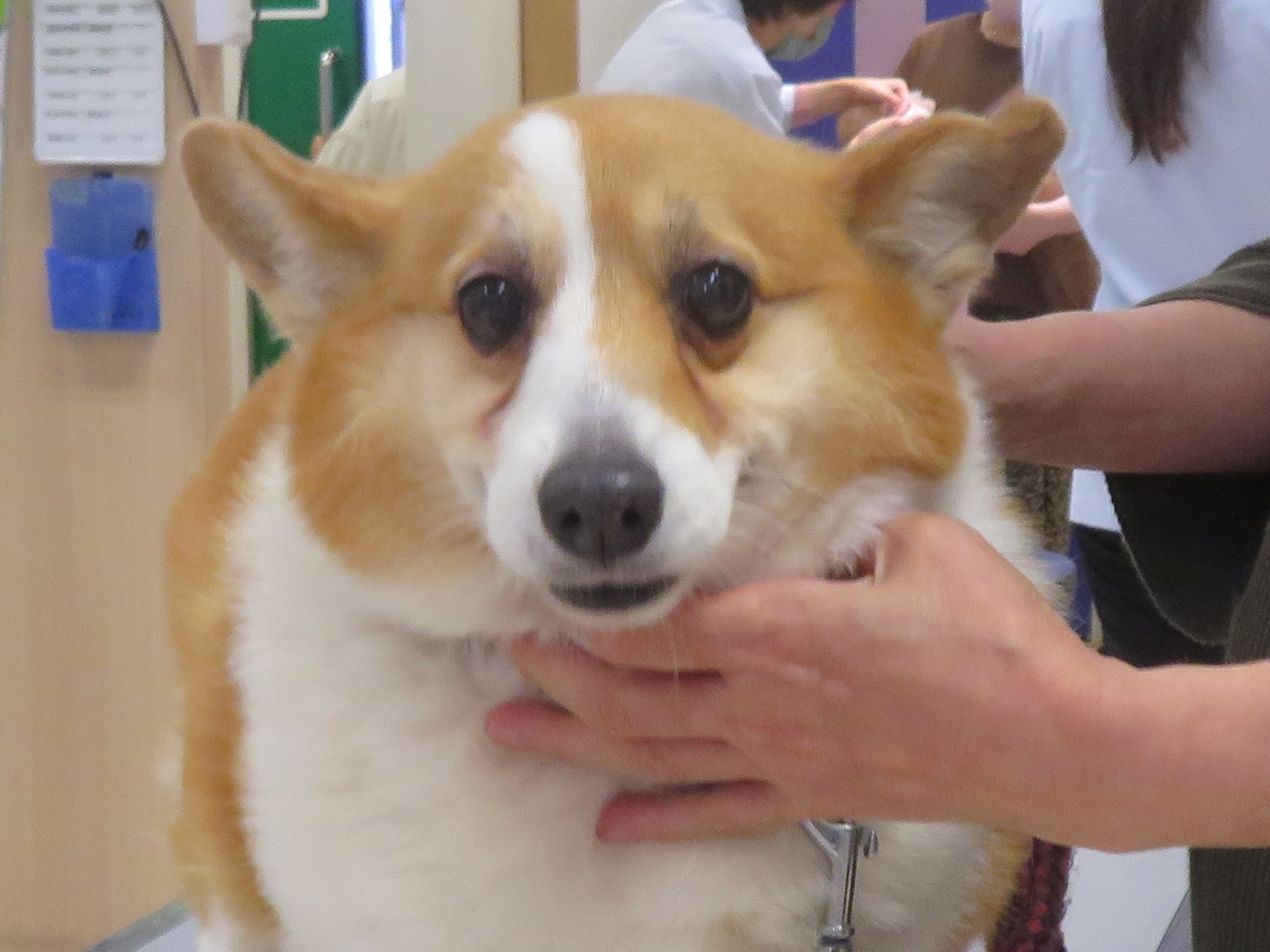 4 月 27 日の写真_c0174644_12443682.jpg