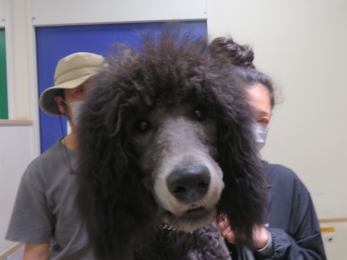 4 月 27 日の写真_c0174644_13462990.jpg