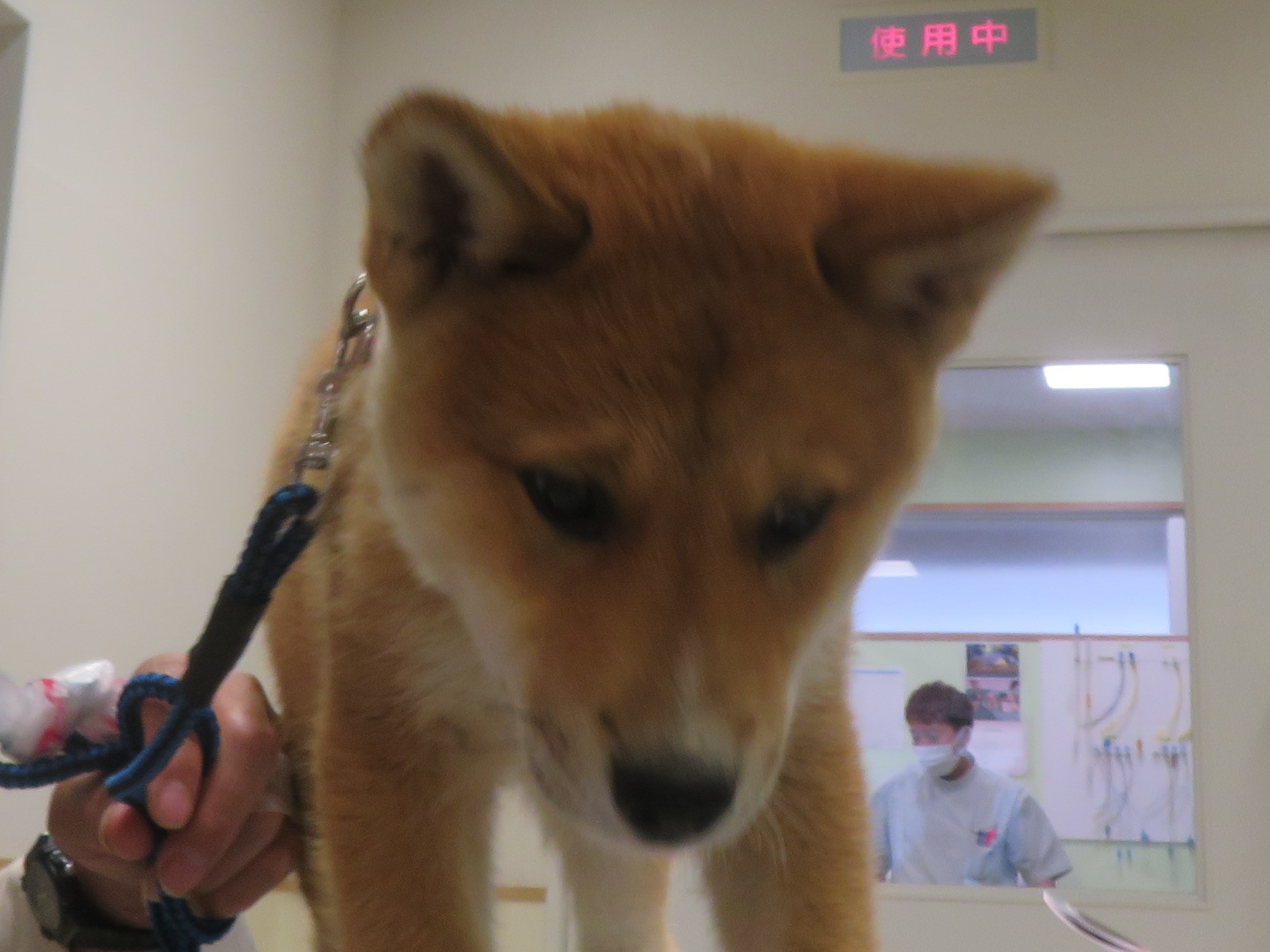 4 月 27 日の写真_c0174644_13464487.jpg