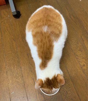 良き形態_a0028451_17535483.jpg