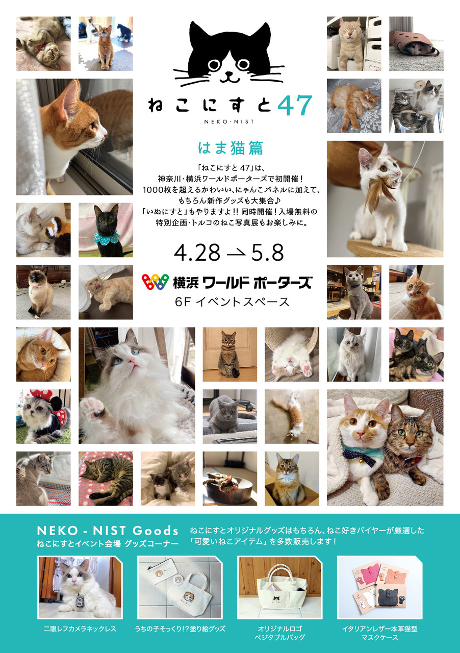 4/28～5/8横浜ワールドポーターズで行われる「ねこにすと」さんのイベントにてトルコの猫写真展示します！_e0255060_22101741.jpeg