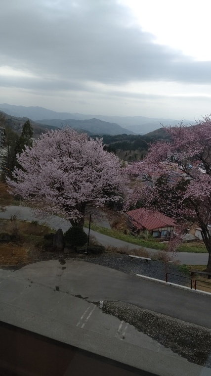 特別室 雲海からの眺め。_b0185375_14235211.jpg