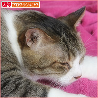 うそやん_a0389088_16230604.jpg