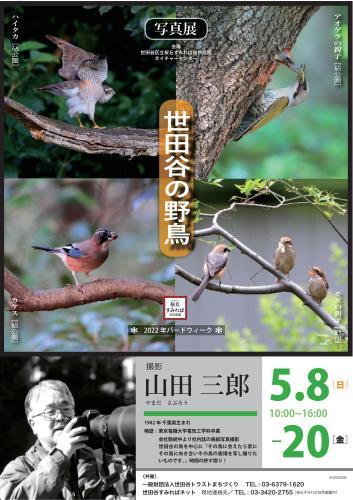 【写真展】「世田谷の野鳥」を開催します_b0049307_12332647.jpg