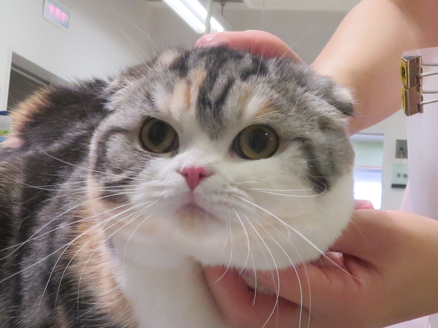 4月 28日の写真_c0174644_13001860.jpg