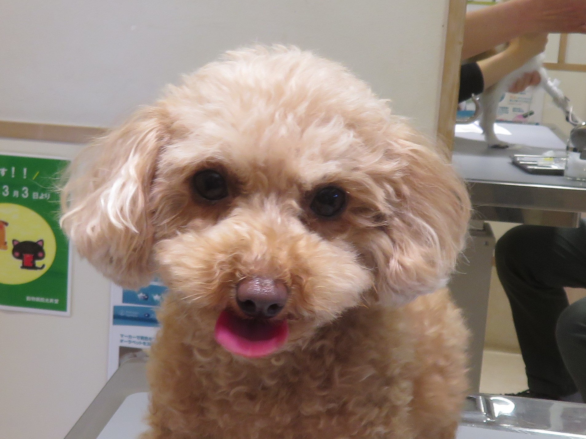 4月 28日の写真_c0174644_13004493.jpg