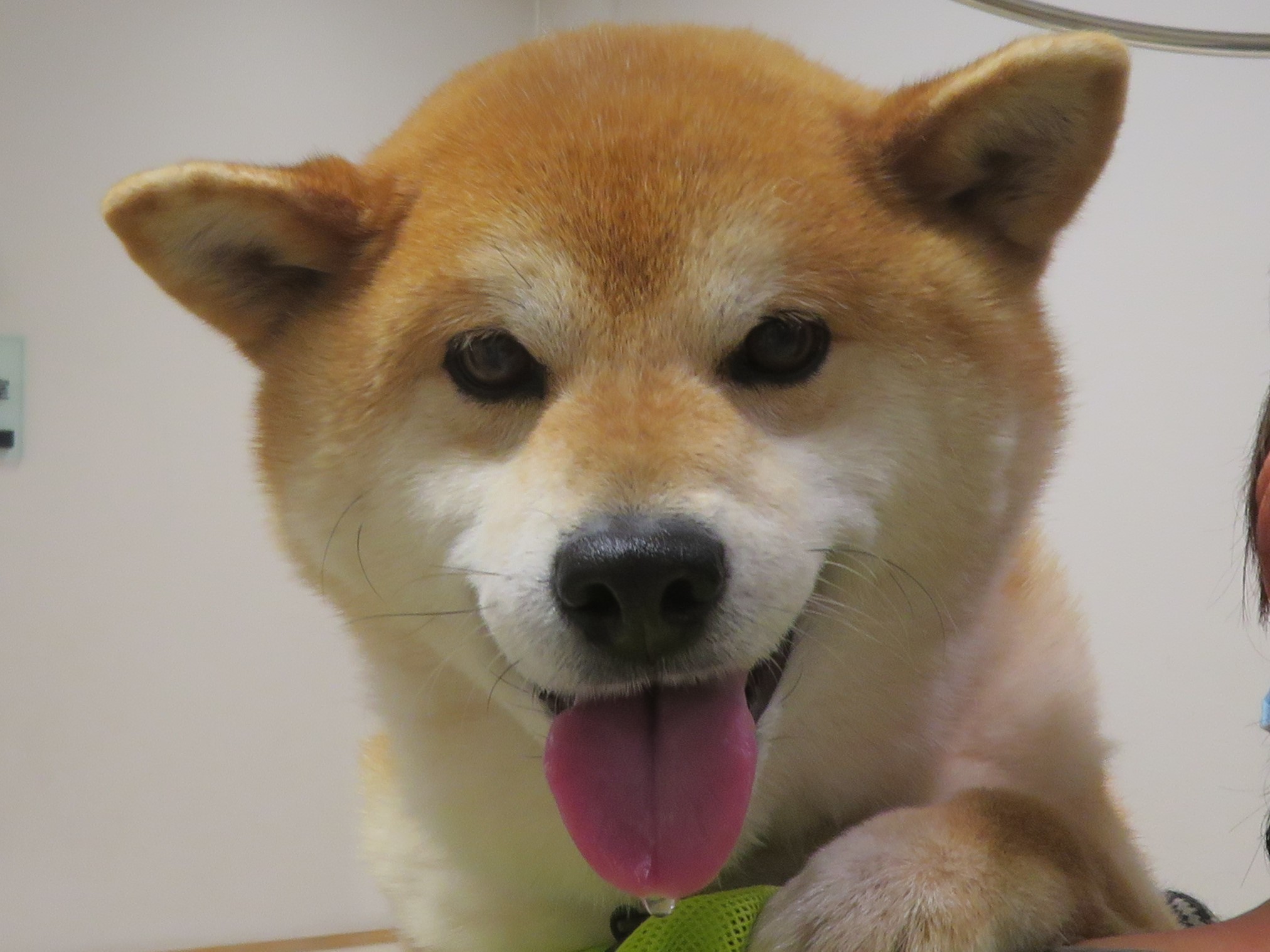 4月 28日の写真_c0174644_21334444.jpg