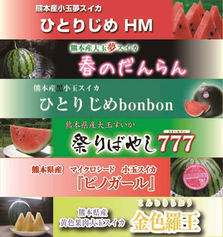 熊本県産   小玉スイカ   ピノガール\u0026肥後グリーンメロン