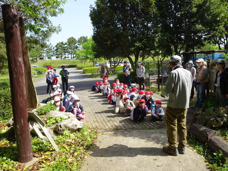 岬町立深日小学校１～２年生遠足「うみべの森遊び」_c0108460_14273166.jpg