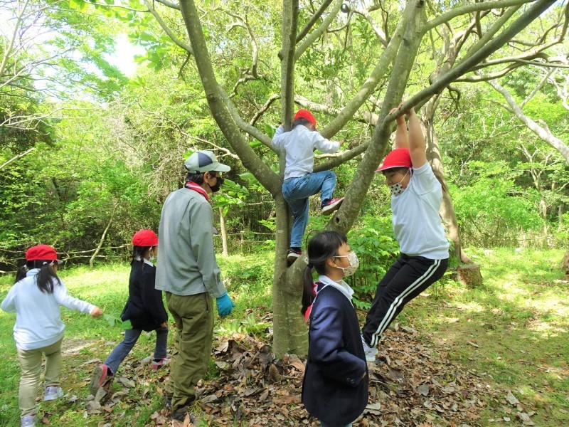 岬町立深日小学校１～２年生遠足「うみべの森遊び」_c0108460_14343152.jpg