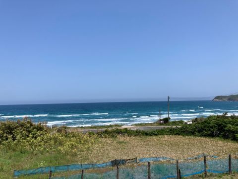 遠くても、通ってくれるオジサン。_f0009169_18151734.jpg