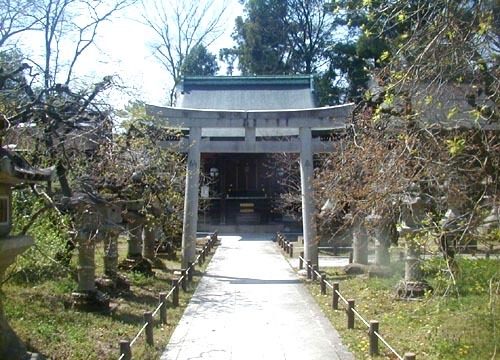 ●神社の造形―北野天満宮の宗像社、他三社_d0053294_03151433.jpg