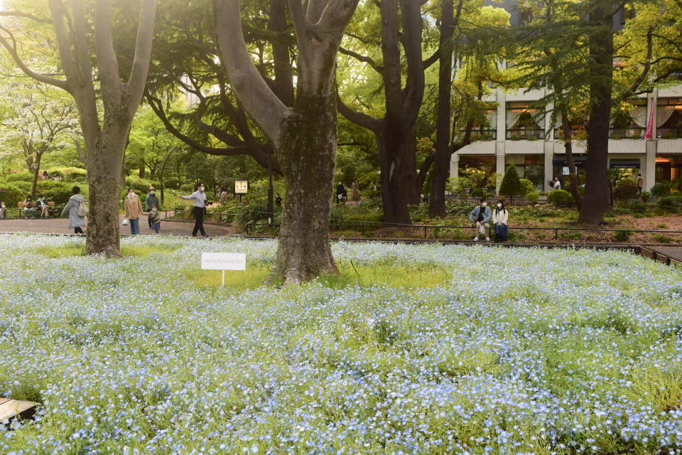 東京日比谷の旧日比谷公園事務所(明治モダン建築再見2022)_f0142606_19383295.jpg