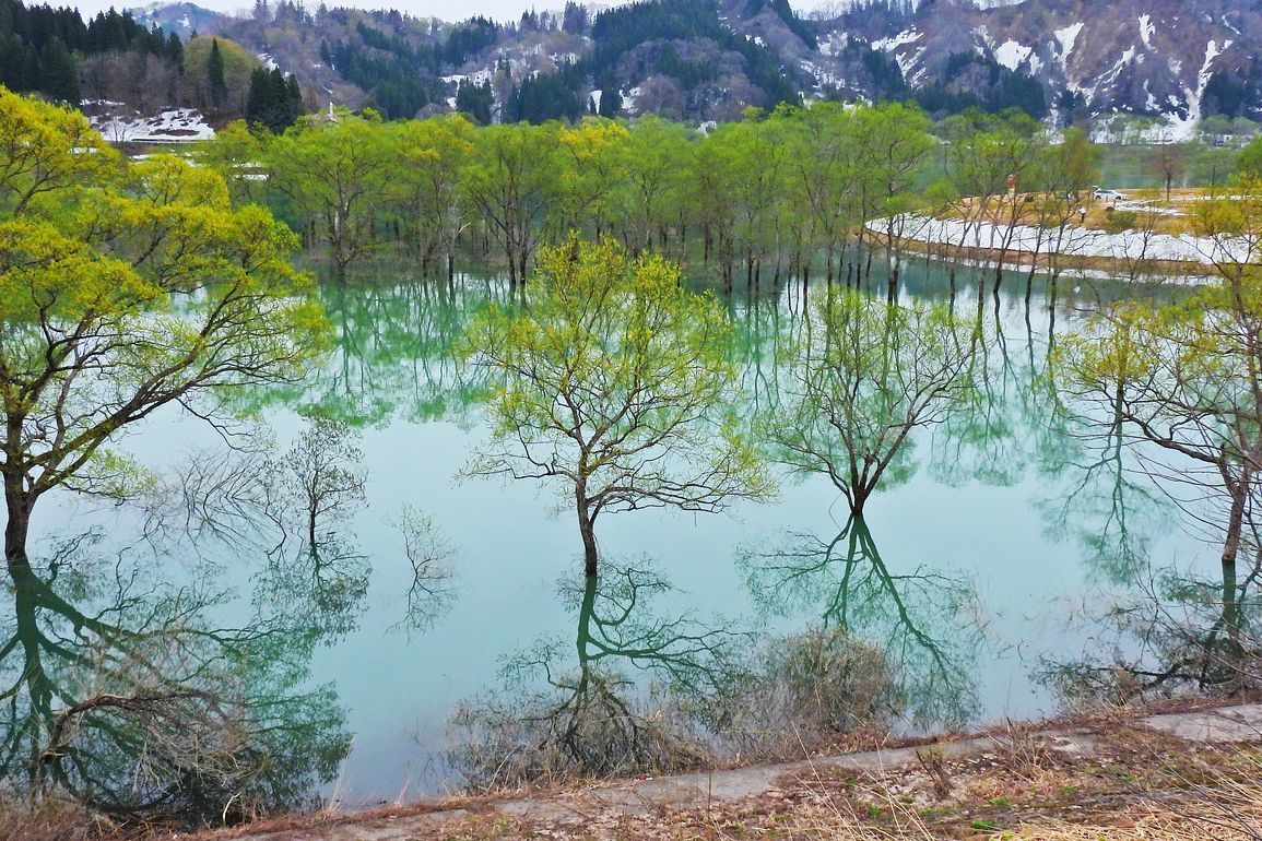 春の東北紀行（１）・・・２０２２．４．２４：白川湖の水没林を目指した。_a0031821_20203634.jpg