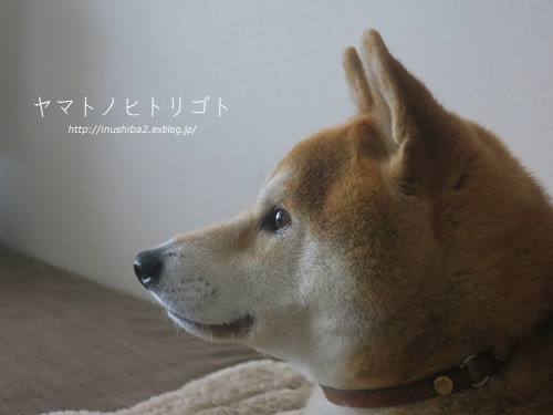 ビワの葉クリーム_e0394031_06473668.jpg