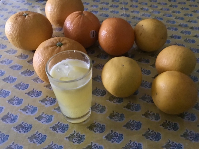 ハタキで掃除ってどうよ_d0101846_15232210.jpeg