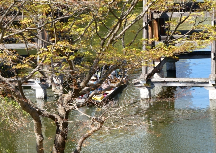   お船に乗ってお堀を巡ろう　　２０２２-０５-０１　００：００ 　_b0093754_23381350.jpg