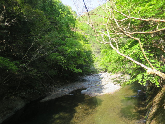 四万十へ_c0402074_14070315.jpg