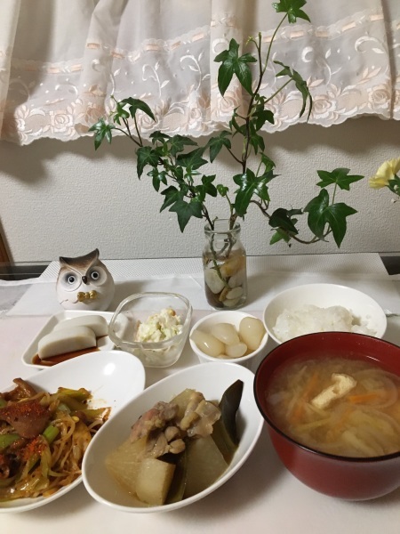鶏肉と大根の煮物_b0417696_00530374.jpeg