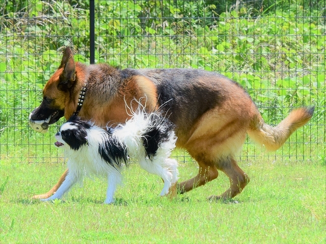 もしかしてここは合宿所_d0360206_20515534.jpg