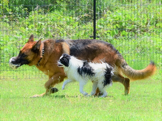 もしかしてここは合宿所_d0360206_20515570.jpg
