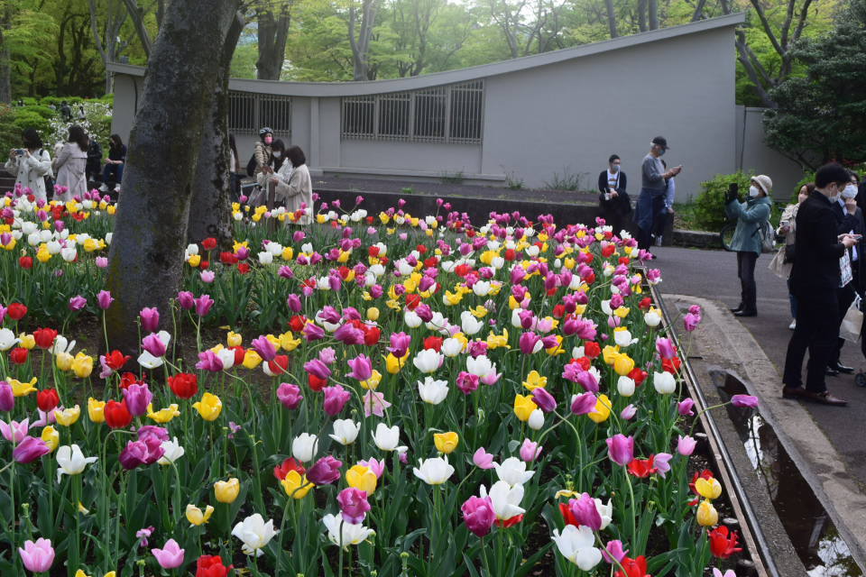 東京日比谷の旧日比谷公園事務所(明治モダン建築再見2022)_f0142606_02152879.jpg