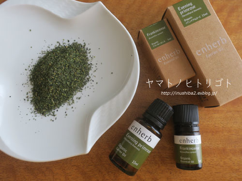 ネトル-Nettle-_e0394031_07593265.jpg