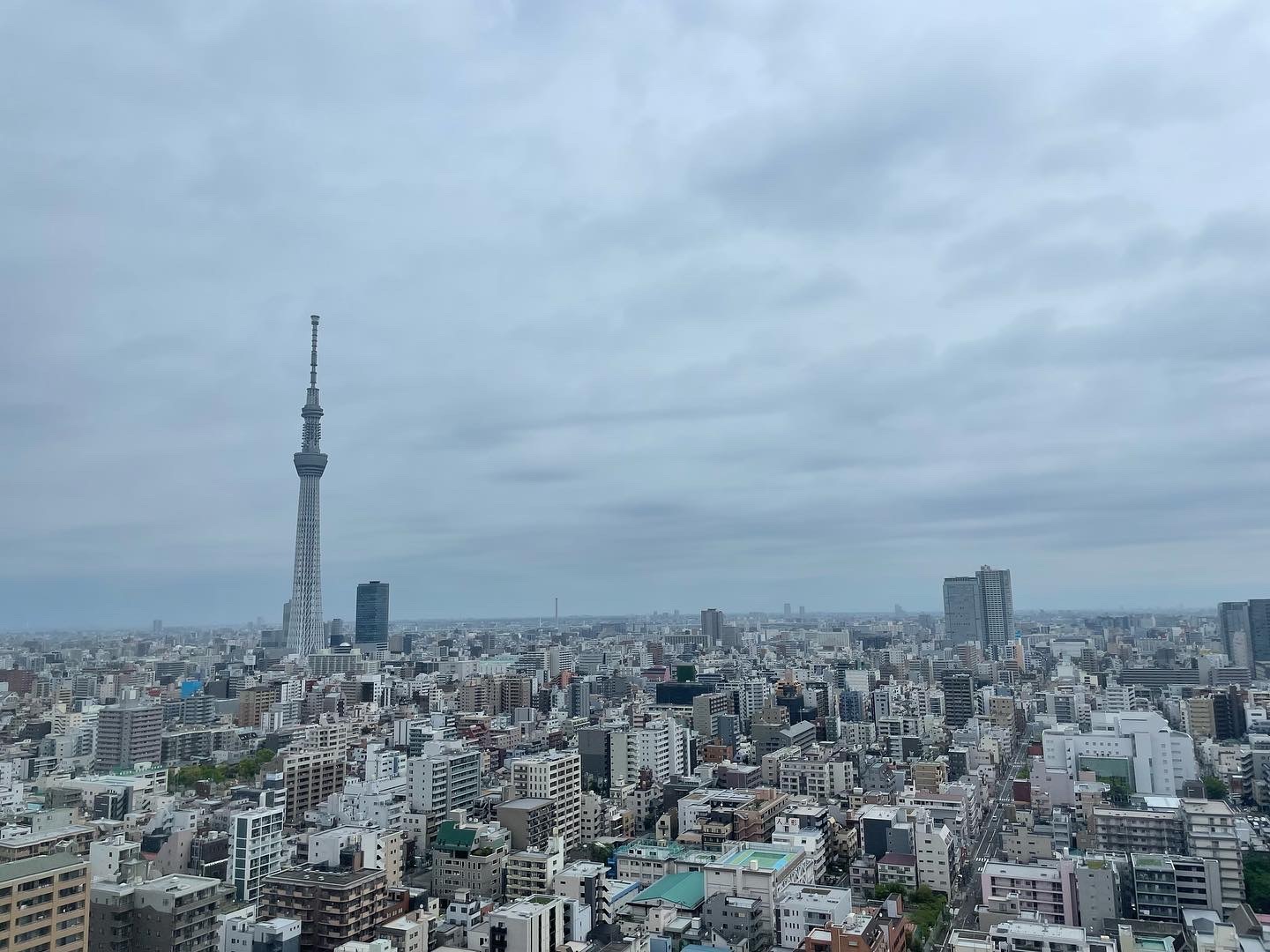 吉野家の親子丼とか 2022.4.22_b0002156_01193030.jpeg