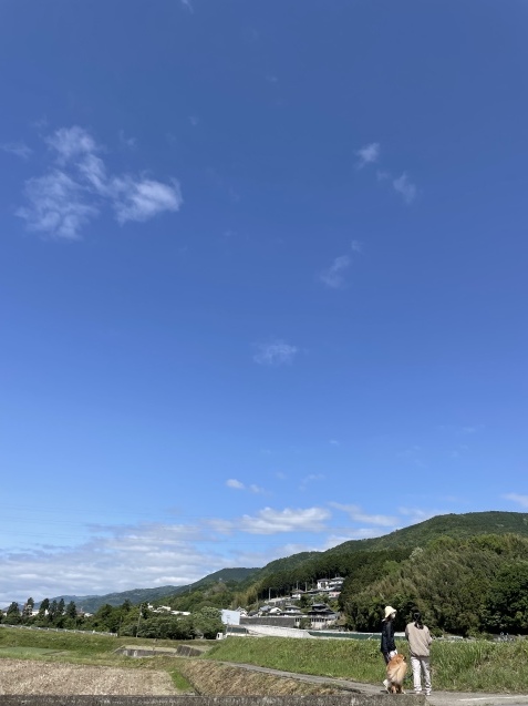 爽やかな日。_a0394574_20584795.jpeg