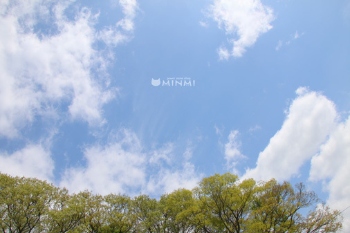 今日は快晴ですヽ(^o^)丿_c0140599_11440995.jpg