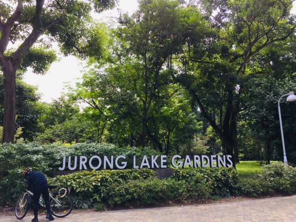 シンガポールの左、Jurong Lake Gardens