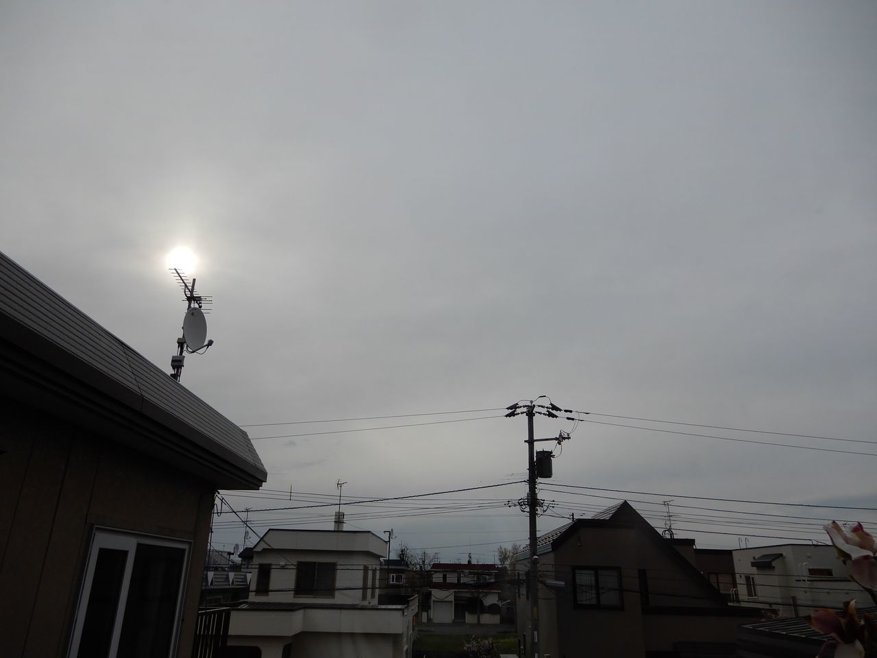 芸術の春_c0025115_20481927.jpg