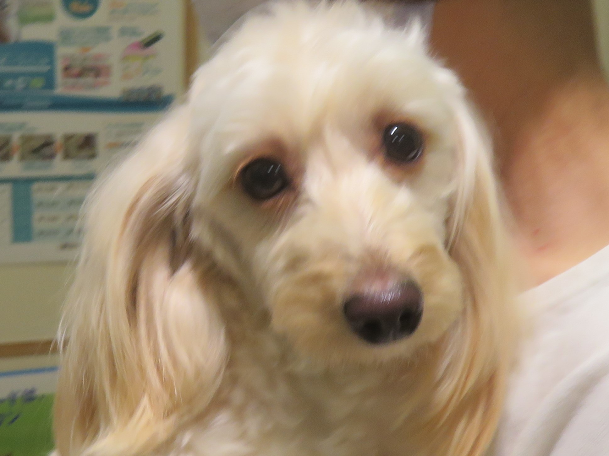 5 月 1 日の写真_c0174644_13120732.jpg
