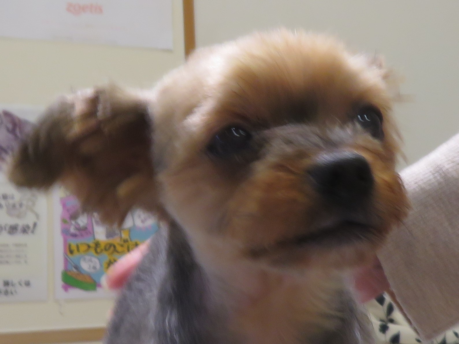 5 月 1 日の写真_c0174644_13120852.jpg