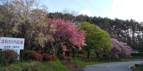 諏訪湖でサイクリングとグルメ旅_e0305253_14482927.jpg