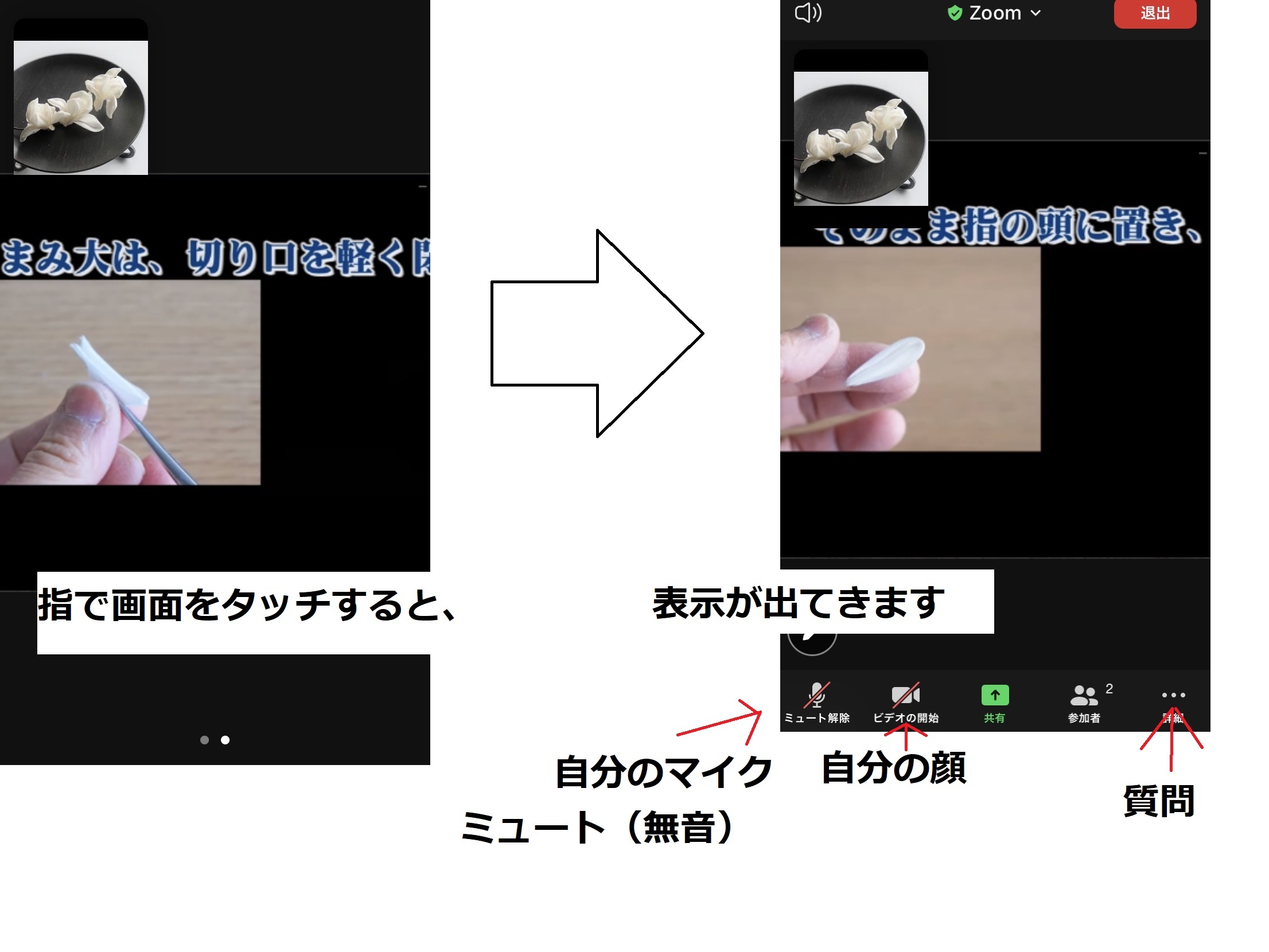 zoom参加(スマホ版)_c0122475_14064668.jpg