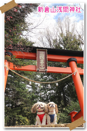 2022年4月16日　新倉山浅間神社_b0024183_17031590.jpg