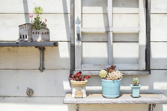 第三回 綱島魔女の会 Be Strong And Happy 第三回 綱島魔女の会 Be Strong And Happy