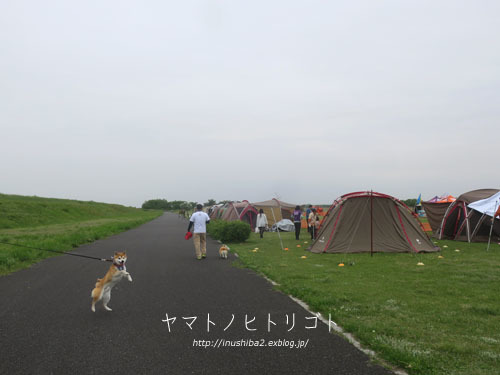 GW前半_e0394031_06045375.jpg