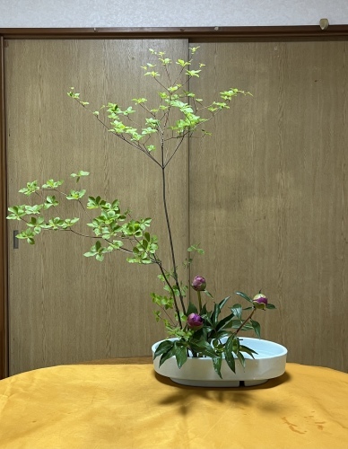 モミジの生け花 青い花瓶付き フラワーベース もみじのおすすめ商品と