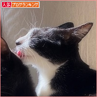 実は、わざとです_a0389088_10505522.jpg